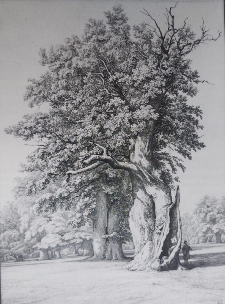 Eine von 200 Abbildungen in der Neuauflage. © Bernd Lindenthal